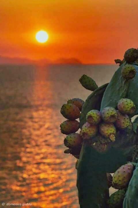 A Pozzallo Vicino Al Mare Βίλα Εξωτερικό φωτογραφία